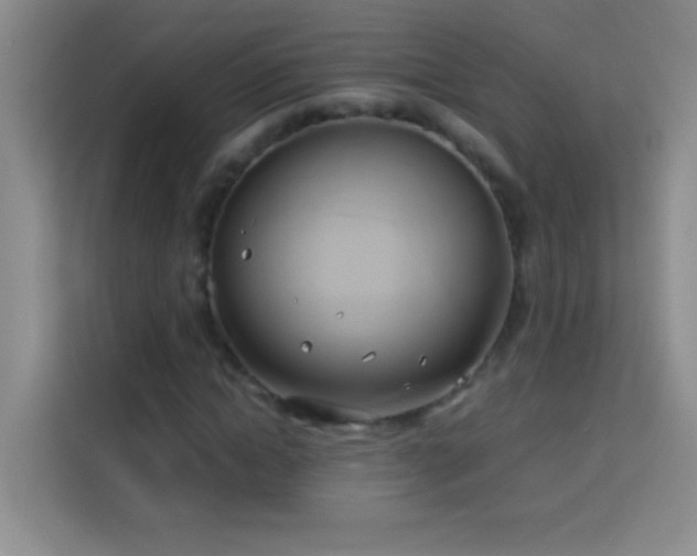 X0000114150822200910081331