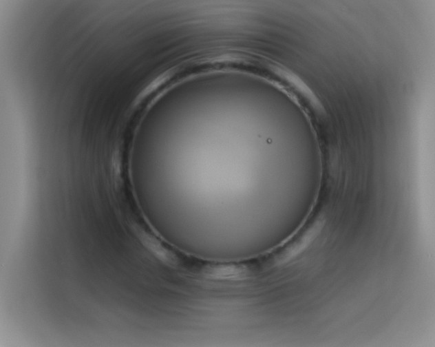 X0000114150826200910081331