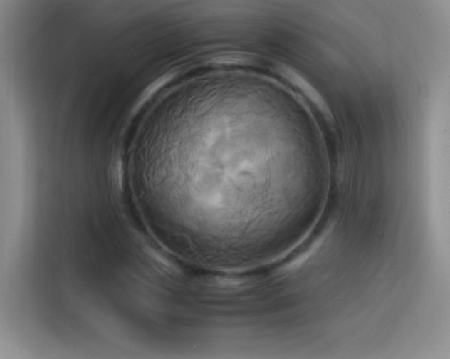 X0000114150829200910081331