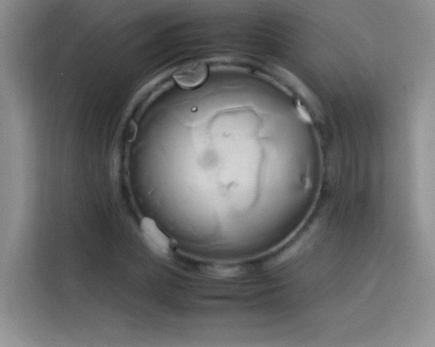 X0000114150831200910081331