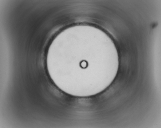 X0000114150832200910081331