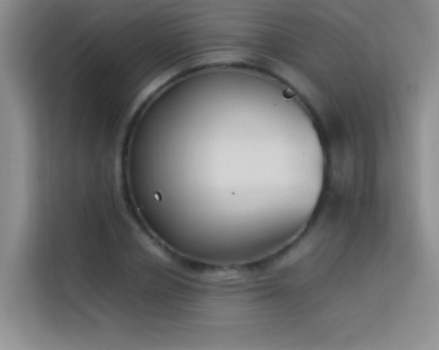 X0000114150834200910081331