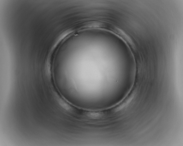 X0000114150835200910081331