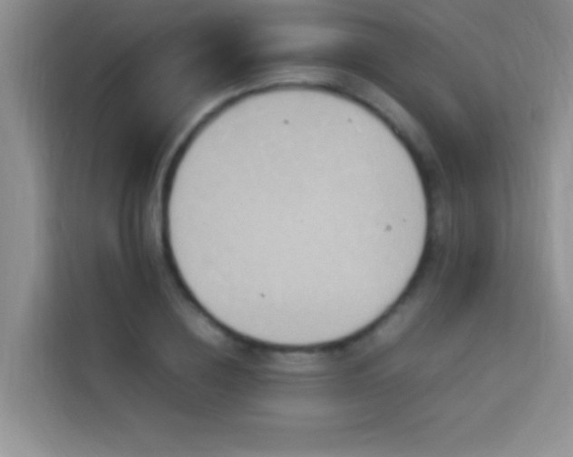X0000114150836200910081331