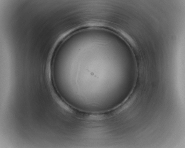 X0000114150840200910081331