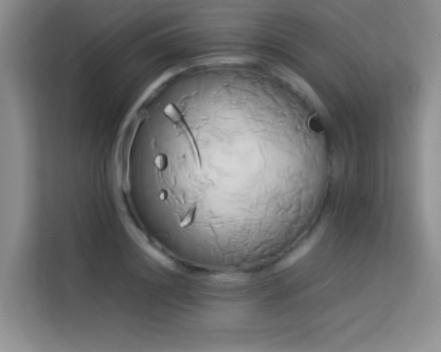 X0000114150844200910081331