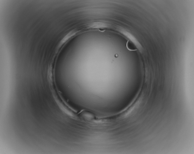 X0000114150850200910081331