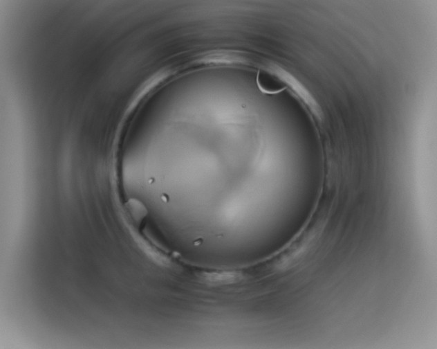 X0000114150853200910081331