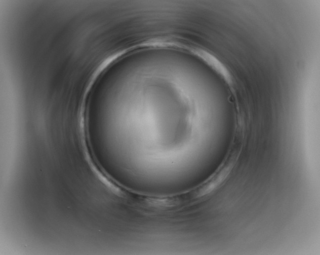 X0000114150855200910081331
