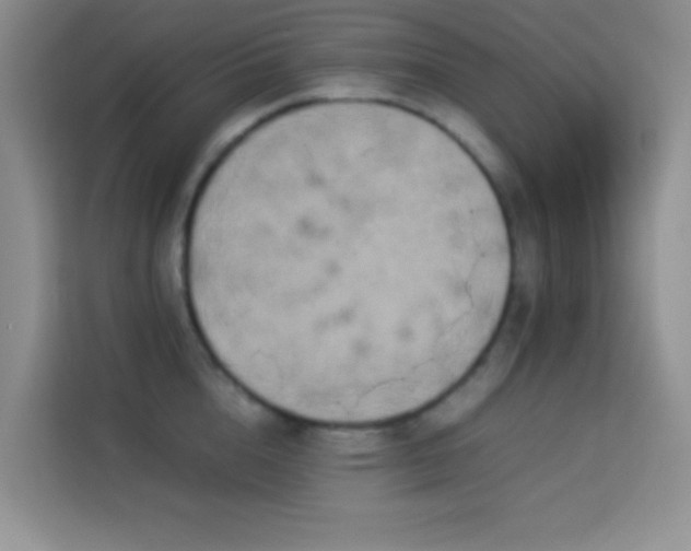 X0000114150856200910081331