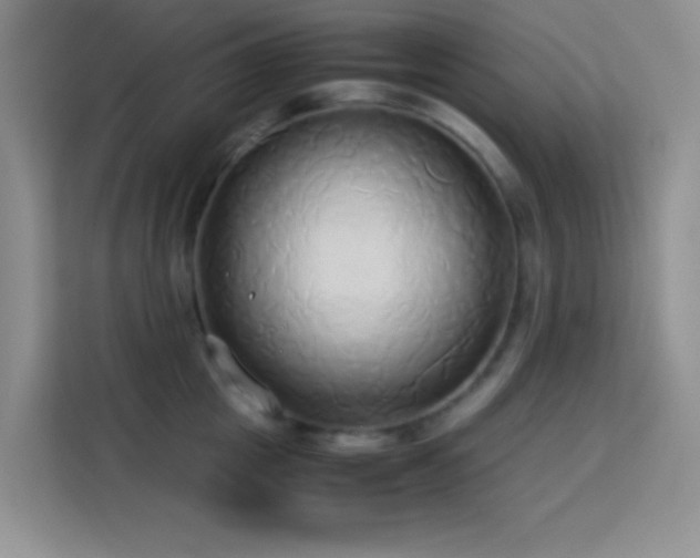 X0000114150857200910081331