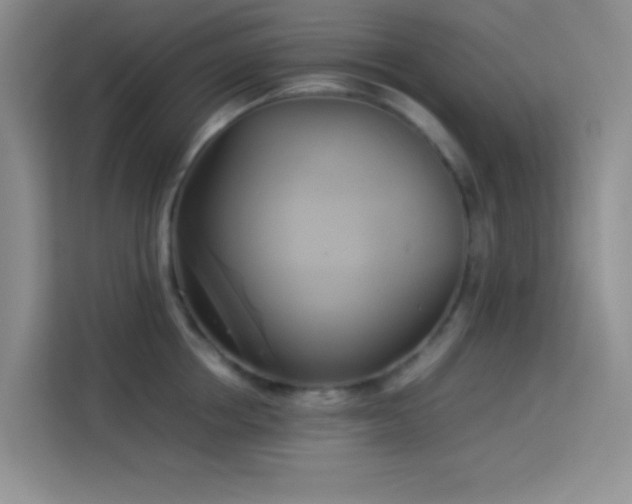 X0000114150858200910081331