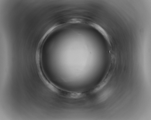 X0000114150859200910081331