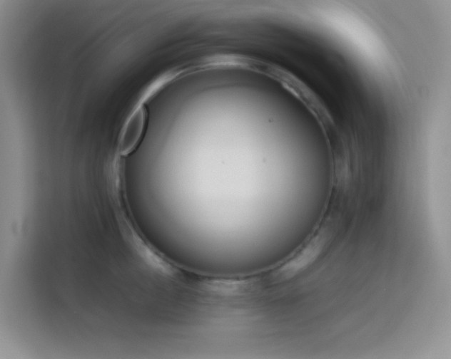 X0000114150860200910081331
