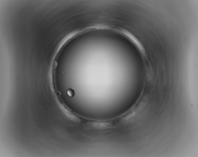 X0000114150861200910081331