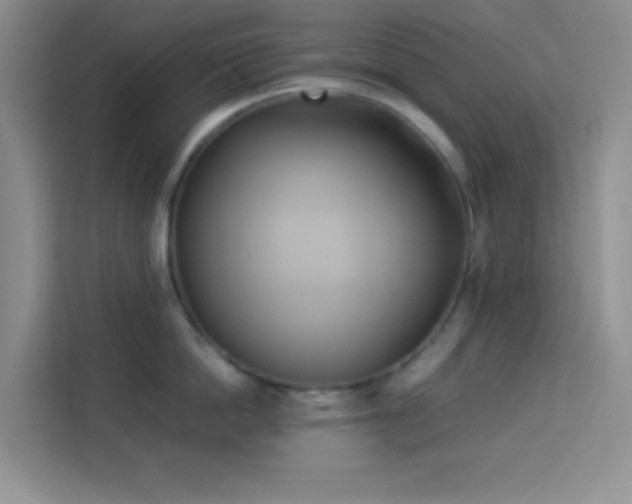 X0000114150862200910081331