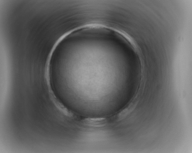 X0000114150864200910081331