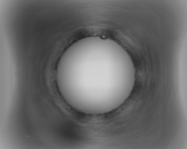 X0000114150865200910081331