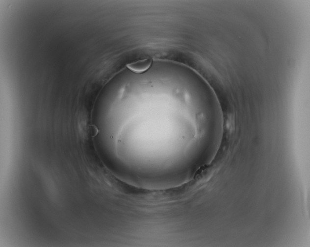 X0000114150867200910081331