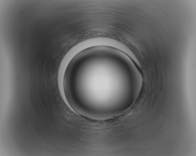 X0000114150868200910081331