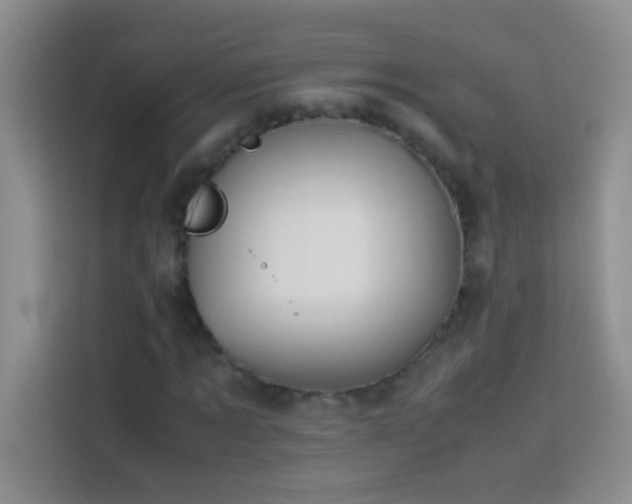 X0000114150869200910081331