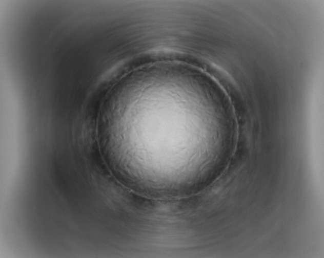 X0000114150870200910081331