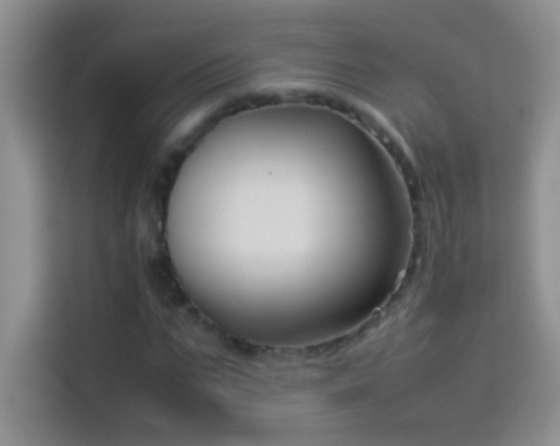 X0000114150871200910081331