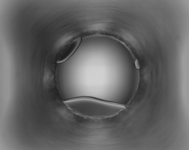 X0000114150872200910081331