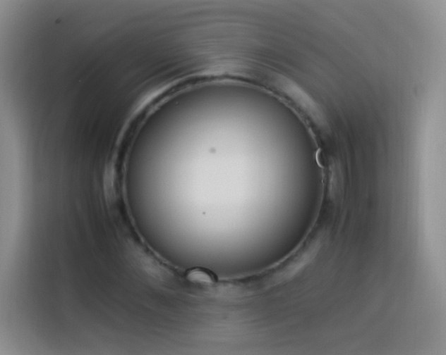 X0000114150876200910081331