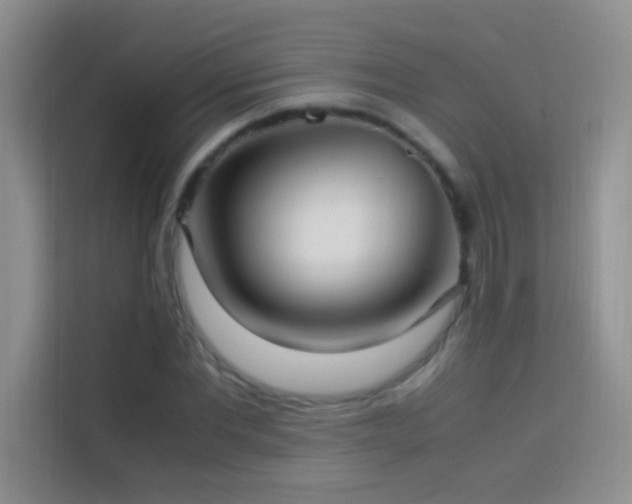 X0000114150877200910081331