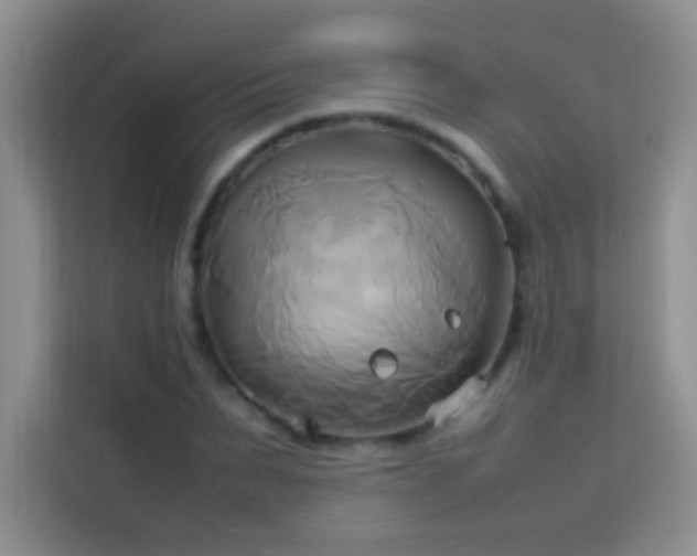 X0000114150879200910081331