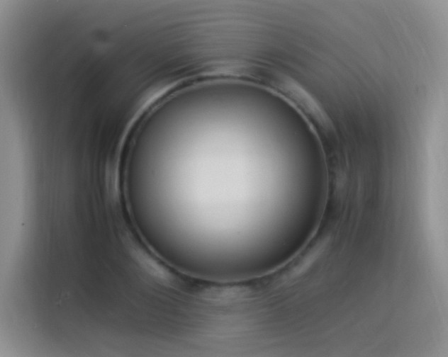 X0000114150884200910081331