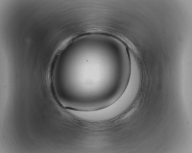 X0000114150885200910081331