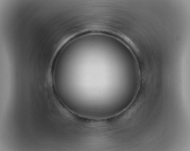 X0000114150887200910081331