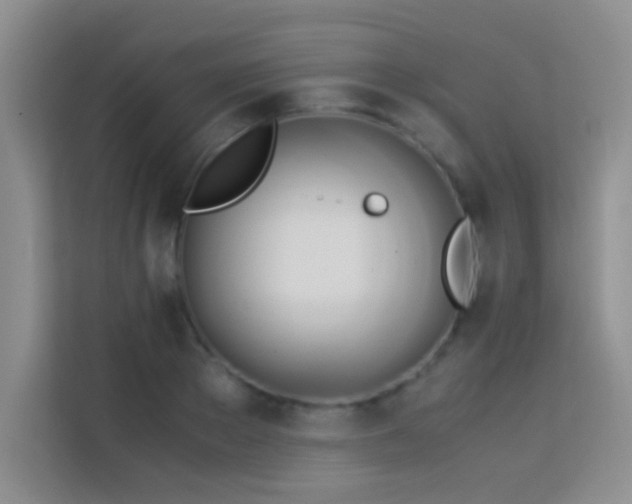 X0000114150889200910081331