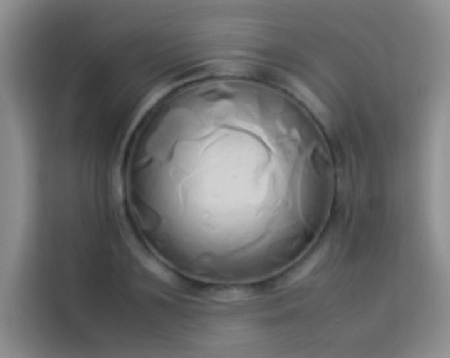 X0000114150891200910081330