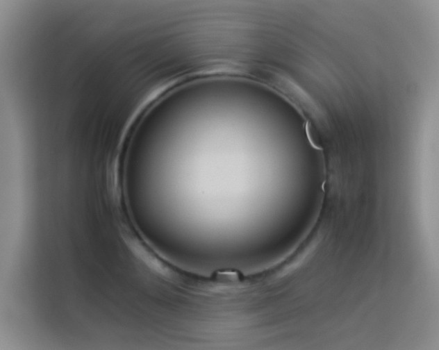X0000114150892200910081330