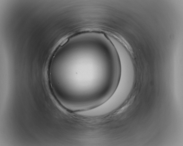 X0000114150893200910081330