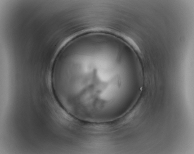 X0000114150895200910081330