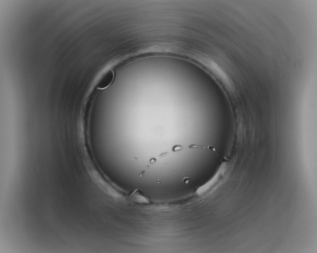 X0000114150896200910081330