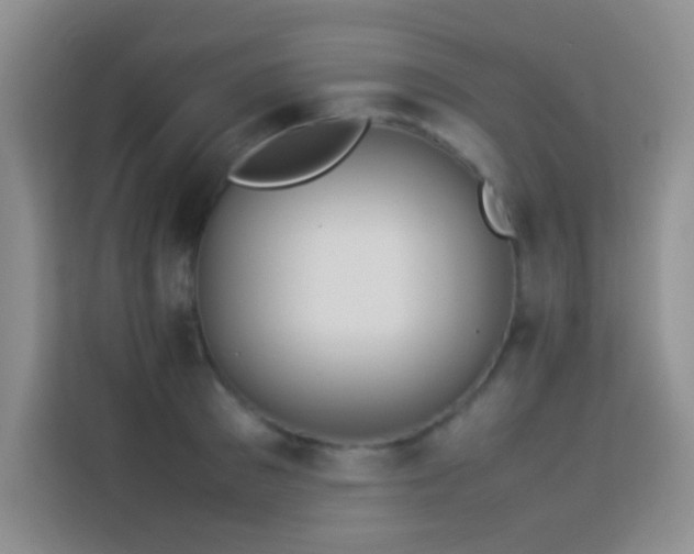 X0000114150897200910081330