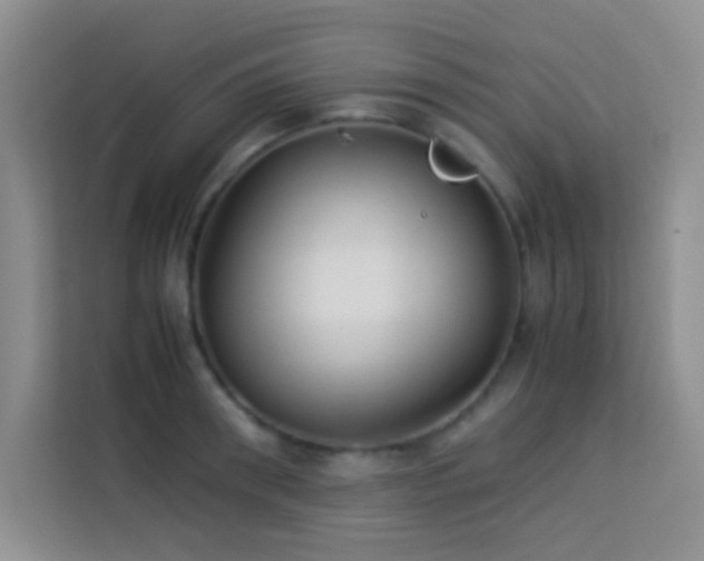 X0000114150898200910081330