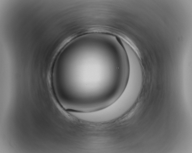 X0000114150901200910081330
