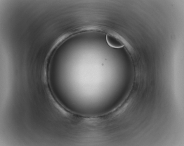 X0000114150902200910081330