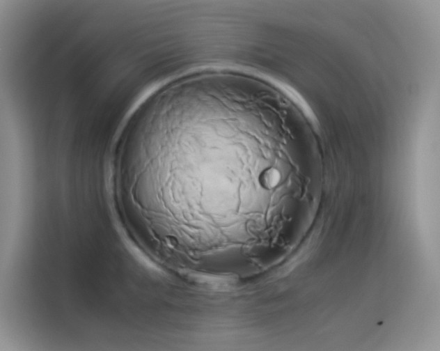 X0000114150903200910081330