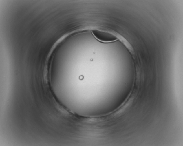 X0000114150904200910081330
