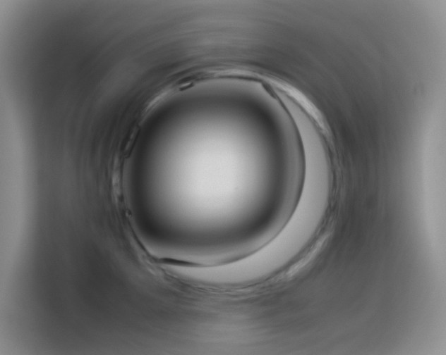 X0000114150905200910081330
