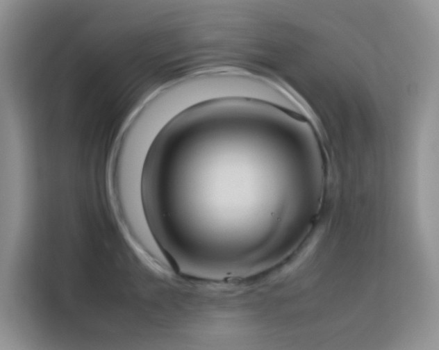 X0000114150909200910081330