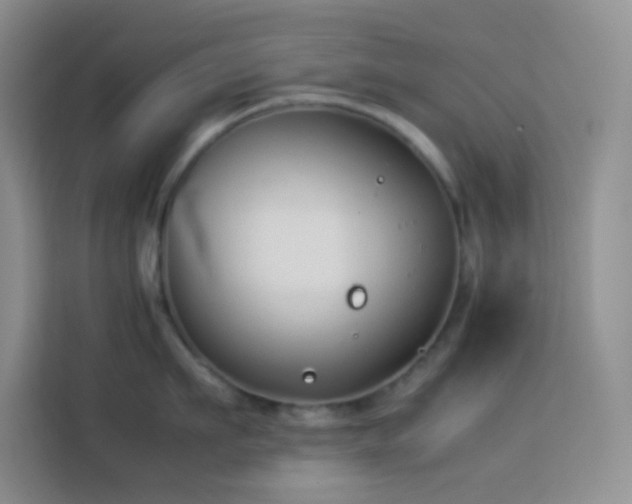 X0000114150911200910081330
