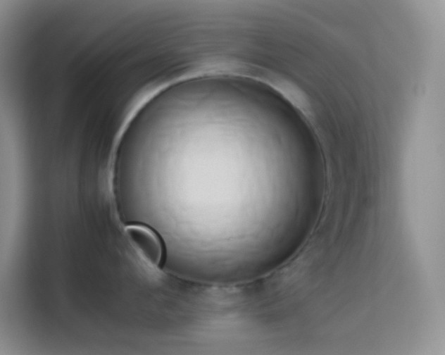 X0000114150912200910081330